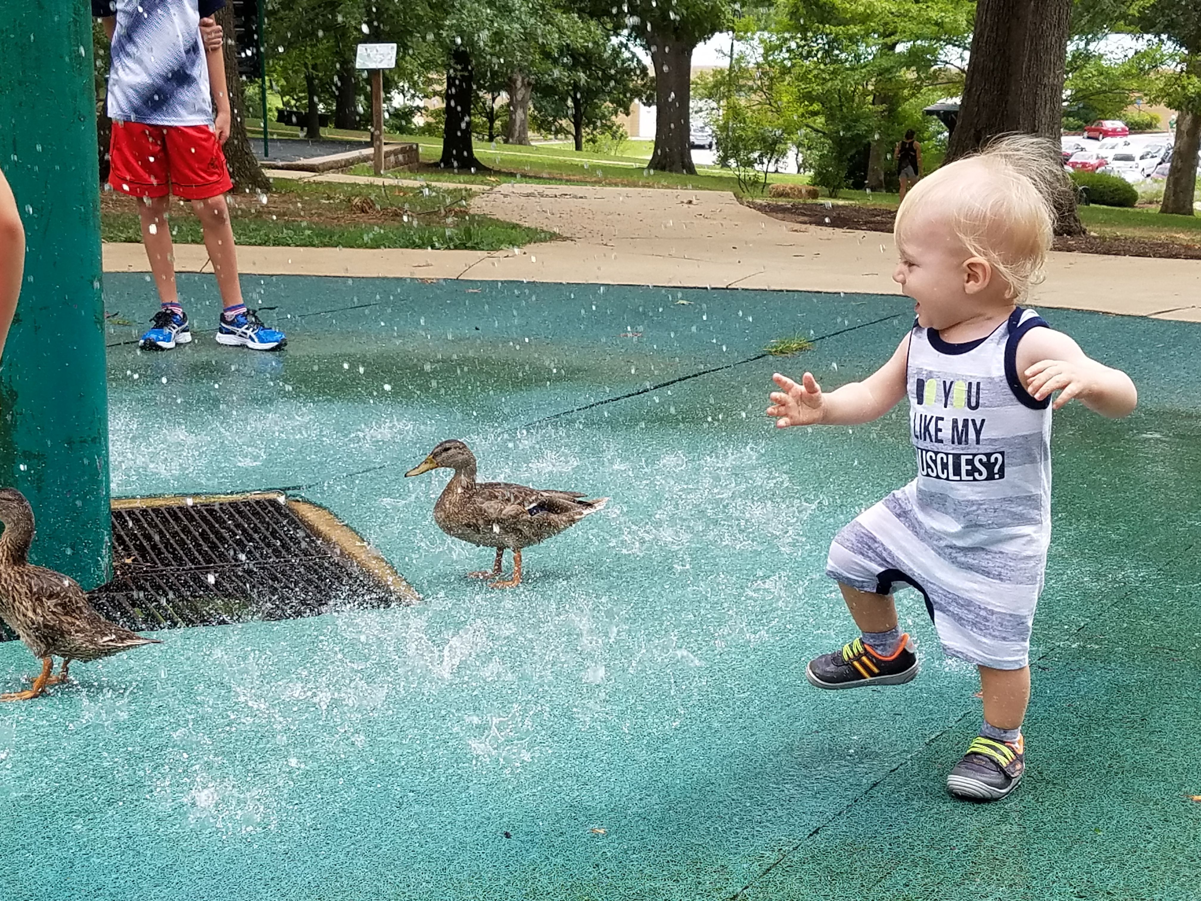 Yikes, Ducks!